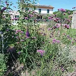 Villa Guazzi Pesaro