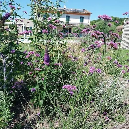 ヴィラ Guazzi ペザロ